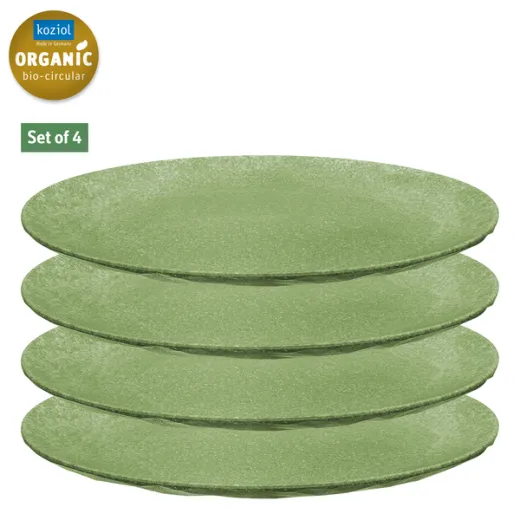 4er Set - Teller CLUB, leaf green