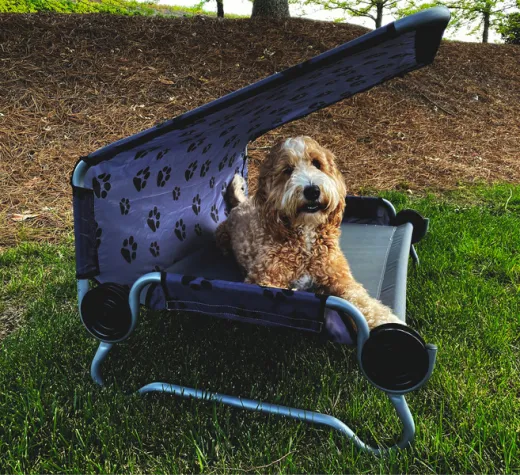 Hundebett DOG BED