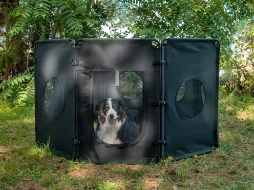 Hundefreigehege, faltbar