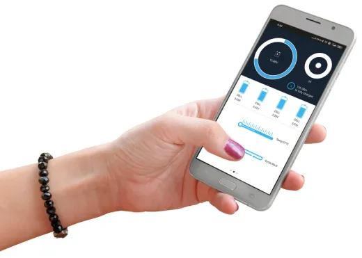 Li100BT-H Lithium-Batterie mit Bluetooth-Technologie und Heizfunktion