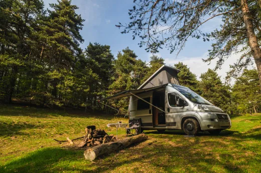 Fiamma F80S Dachmarkise 2,9m, für Vans und Wohnmobile