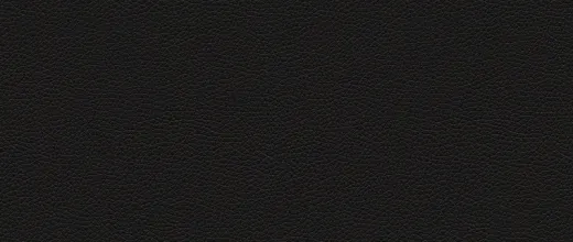 Kunstleder MADRYT - Farbe: schwarz