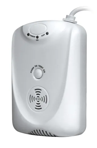 LPG/CO Gaswarner 12Volt 2 in 1