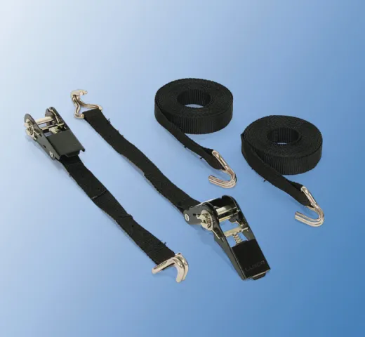 Motorradschiene einschiebbar - Carry Moto Pro
