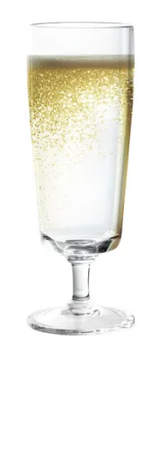 Plastik-Sektglas aus SAN, 2er Set, 200 ml Volumen