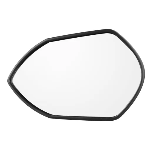 Spiegelkopf