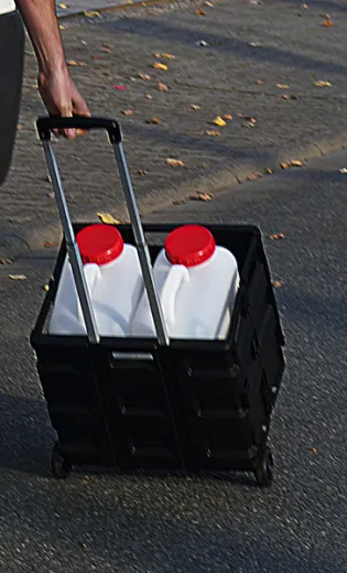 Transportwagen mit Faltbox, Tragkraft 35kg