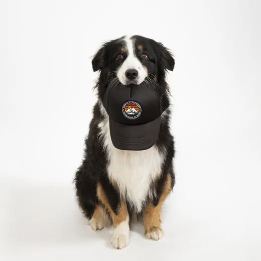 Trucker-Cap LIFE IS A JOURNEY, schwarz, unisex