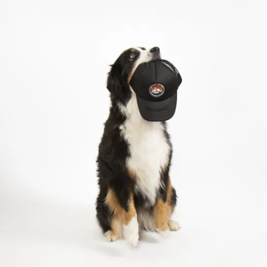 Trucker-Cap LIFE IS A JOURNEY, schwarz, unisex
