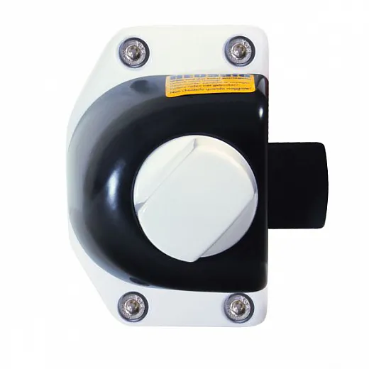 Türsich.Renault ab 2010