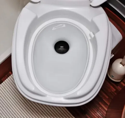 Twusch 10.0 Porzellaneinsatz passend für Thetford Toiletten Aqua Magic R