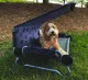 Hundebett "DOG BED"