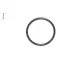 O-Ring Dichtung 25x2mm