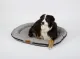 Outdoor-Hundebett HOLIDAY TRAVEL 100x75cm, grau-meliert