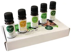 Totalcool Fresh Öle: Citronella,Teebaum,Lemon,Eucalyptus,Pfefferminze