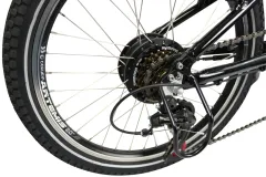 E-Bike CARL 300