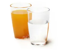 Polycarbonat Gläser Saft 270 ml, 2 Stk.