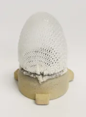 Schraubglühkörper für Truma Gaslampe