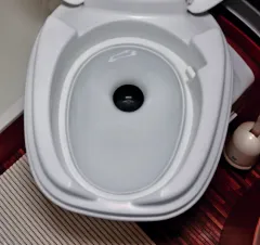 Twusch 3.0 - Porzellaneinsatz für Thetford Toilette C260 Twusch 3.0 - Porzellaneinsatz für Thetford Toilette C260